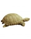 TORTUE TORT 01 HAUTEUR 6