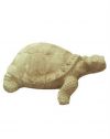 TORTUE TORT 02 HAUTEUR 12