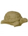 TORTUE TORT 03 HAUTEUR 12